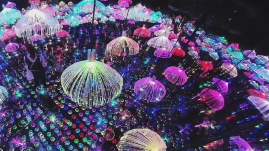 'Where light meets magic' at Imaginarium