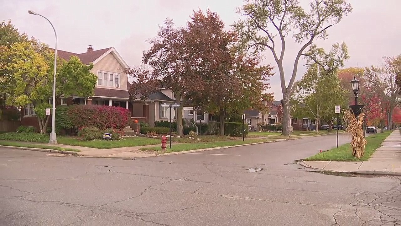 Couple says they were attacked by dogs in Grosse Pointe Park