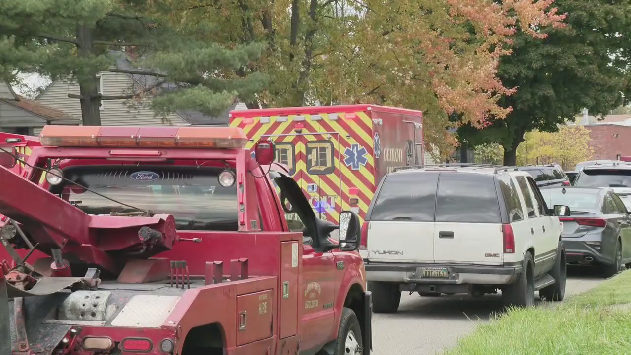 Four-year-old boy mauled to death by loose neighborhood dog in Detroit