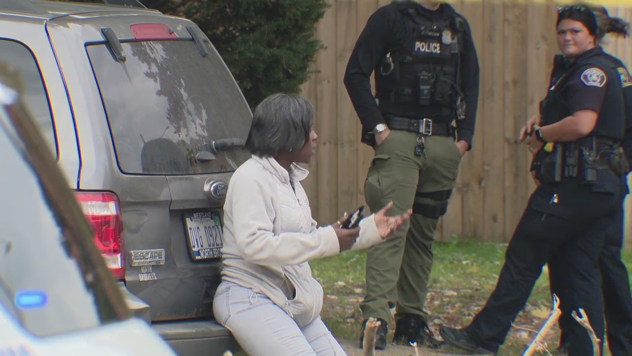 Four-year-old boy mauled to death by loose pit bull in Detroit