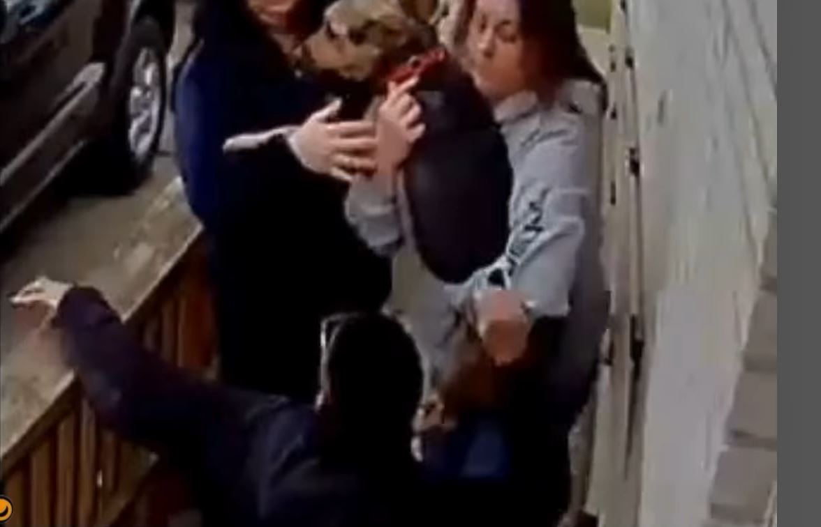 Family dog stolen on camera in Mount Clemens by two women