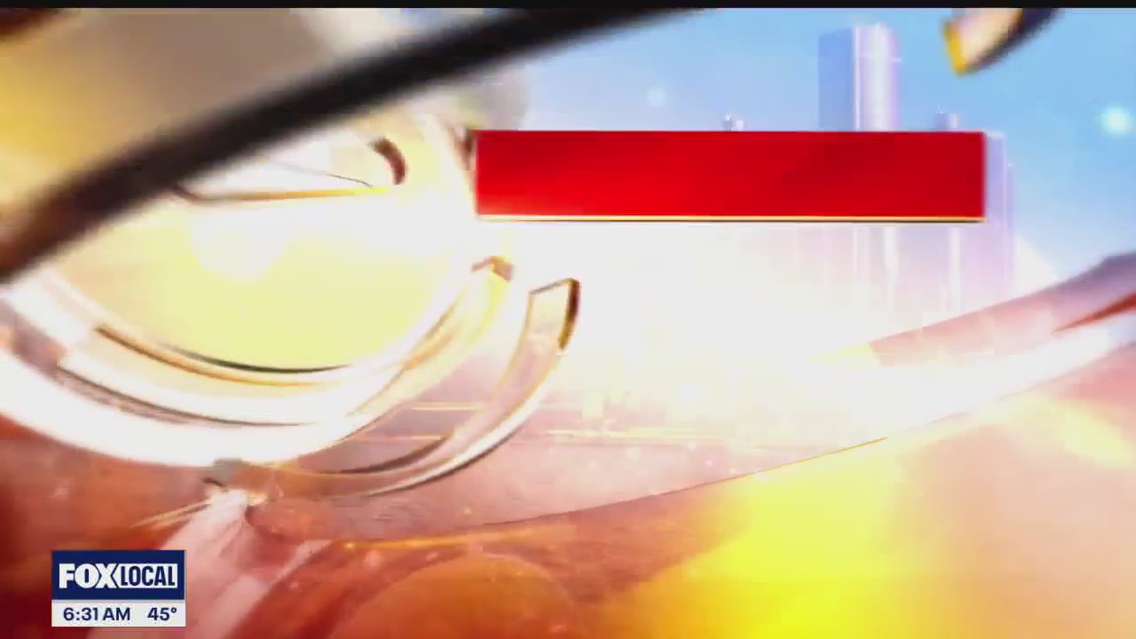 AMY SOUNDS THE RED WINGS GOAL HORN