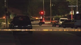 Domestic dispute turns deadly