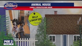 Meet Bella & Snoop Dog