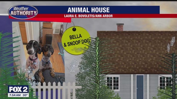 Meet Bella & Snoop Dog