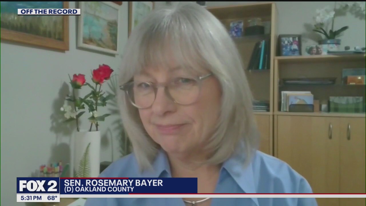 Assault weapon ban on hold in Michigan - for now