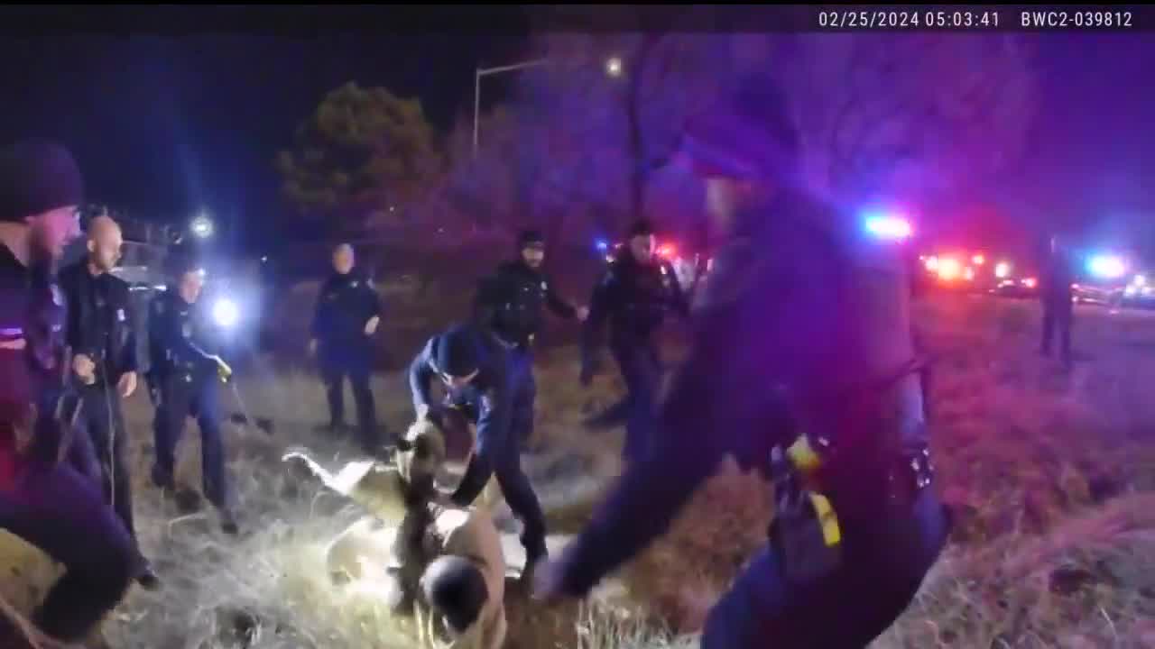 2 Sterling Heights police officers on paid leave amid use of force investigation during arrest