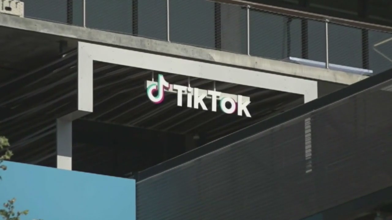 Does Whitmer support a TikTok ban?