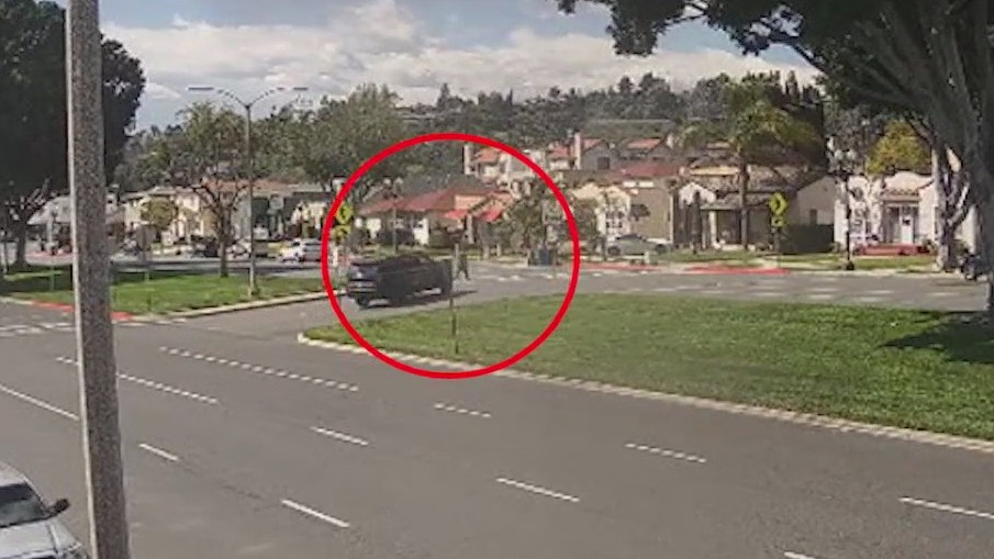 Pearl Jam guitarist sued over fatal crash