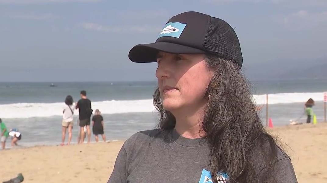 Heal the Bay releases annual report card