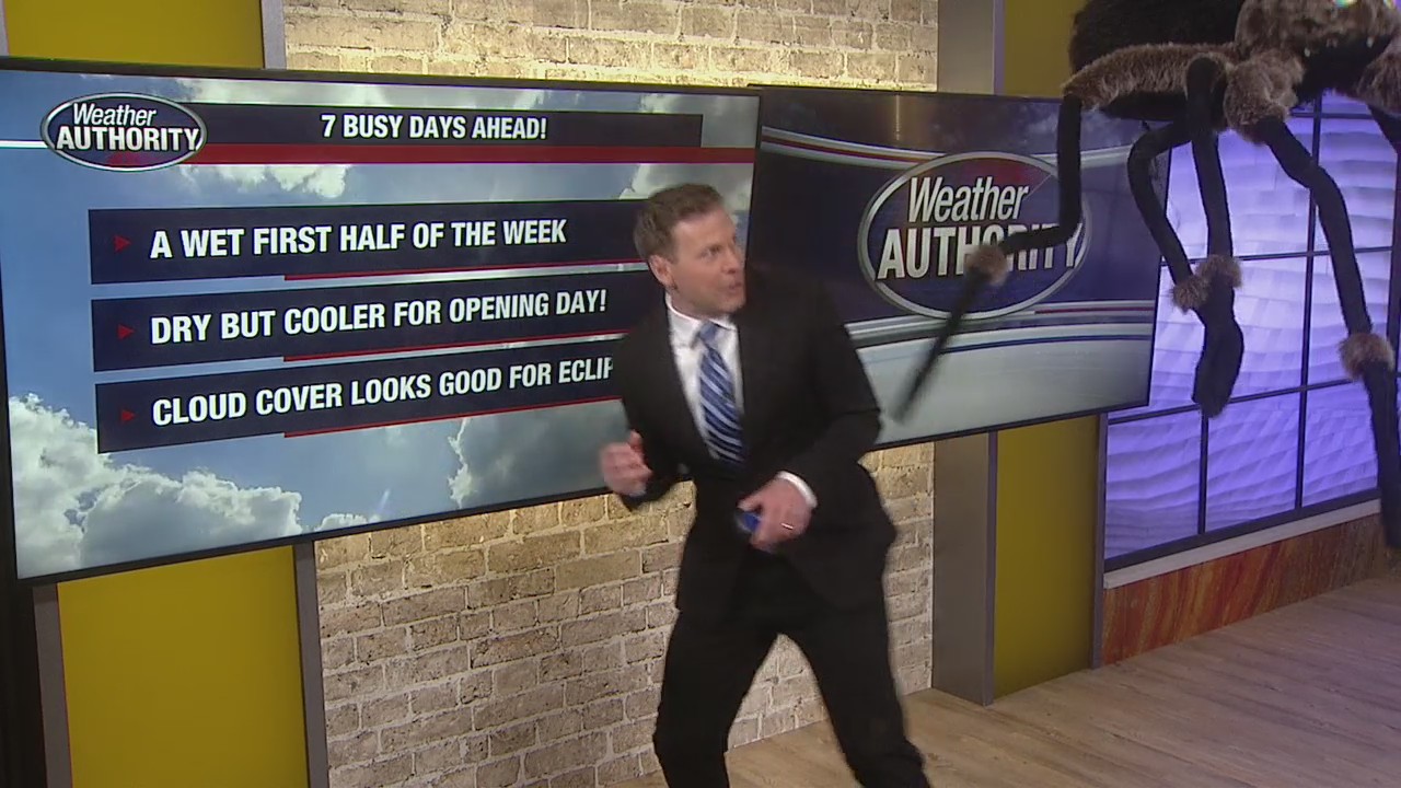 Derek's forecast: rain and falling spiders