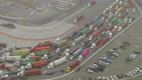 Global tech meltdown creates major backup