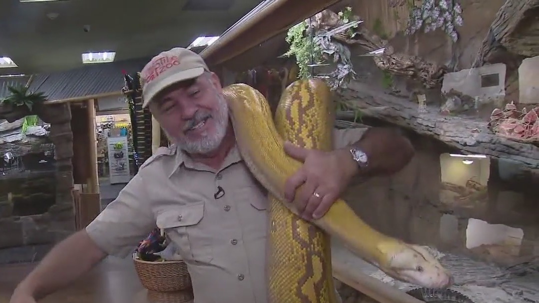 'Reptile Royalty' returns to Roku