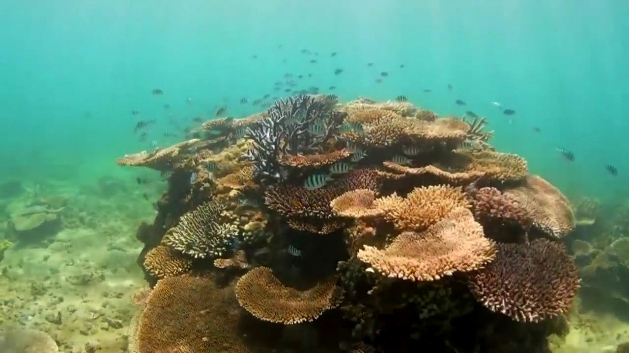 New technology allows further exploration of oceans