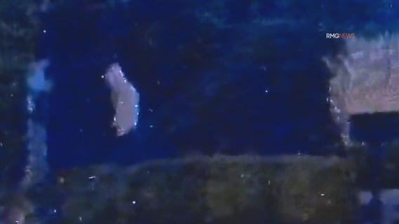 Masked prowlers scared off by neighbor in Tarzana