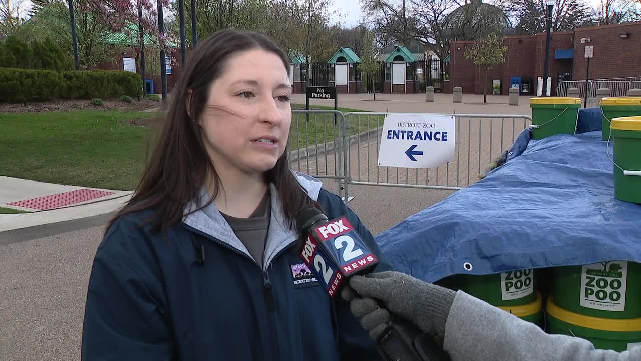 Detroit Zoo free admission: Recycle old electronics and get in | FOX 2 Detroit