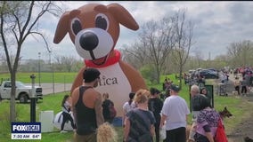 Utica Puppy Parade