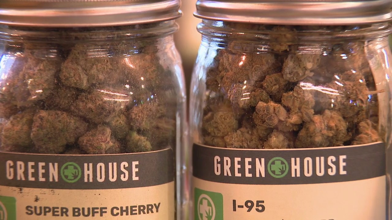 Biden administration plans to reclassify marijuana