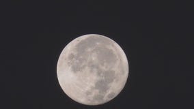 Blue Supermoon sighting in LA