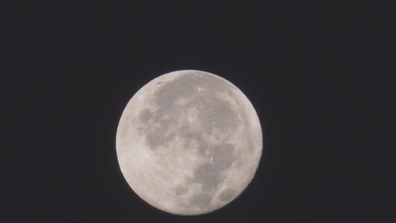 Blue Supermoon sighting in LA