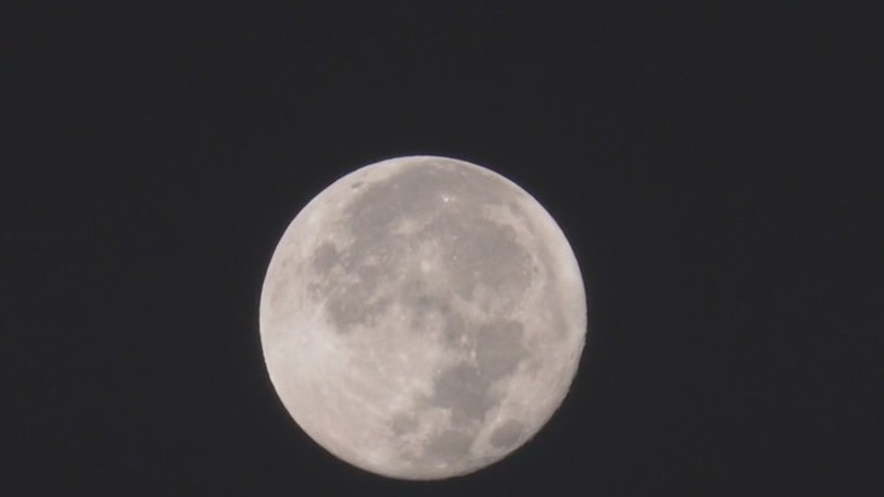 Blue Supermoon sighting in LA