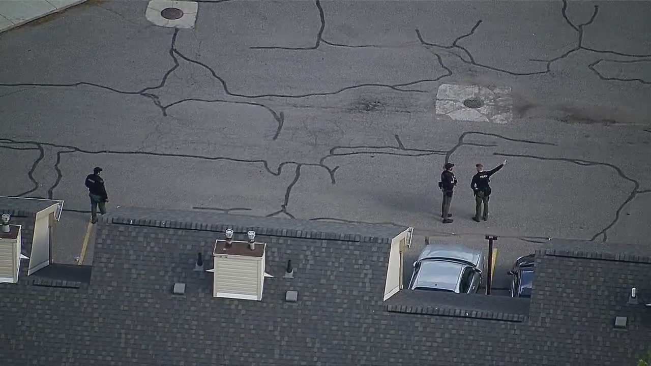 DPD: Teenager shot near downtown Detroit, police units at the scene