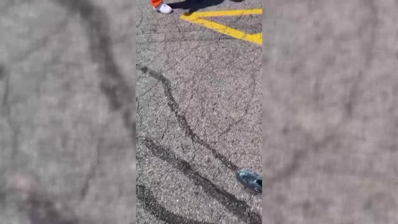 Two charged in large fight on 10 Mile in Southfield