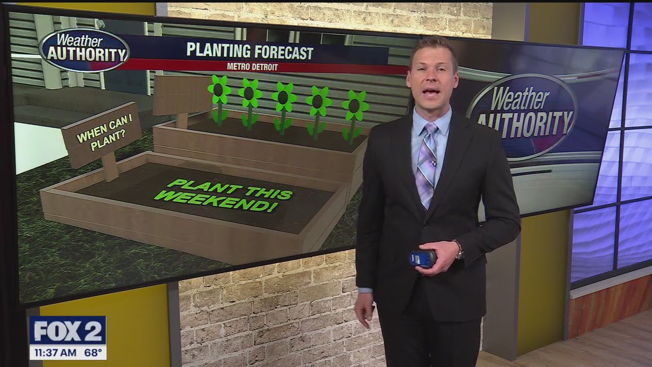 Morning rain over but more possible this evening