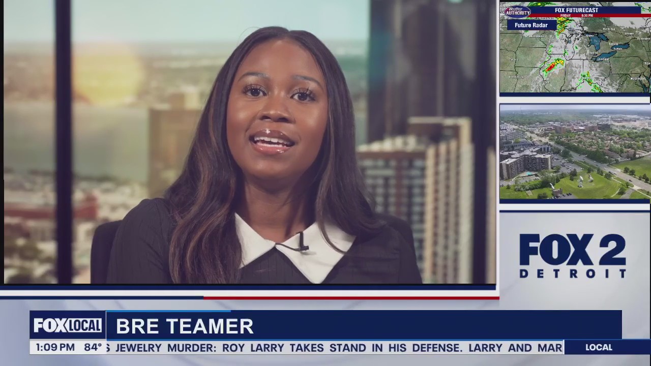 Adam Hollier disqualified from 13th District Democratic Primary ballot after signature review