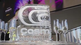 ?Cosm? Dome offers immersive fan experience