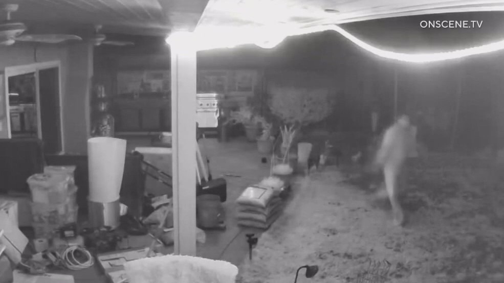 Winnetka homeowner stabs intruder