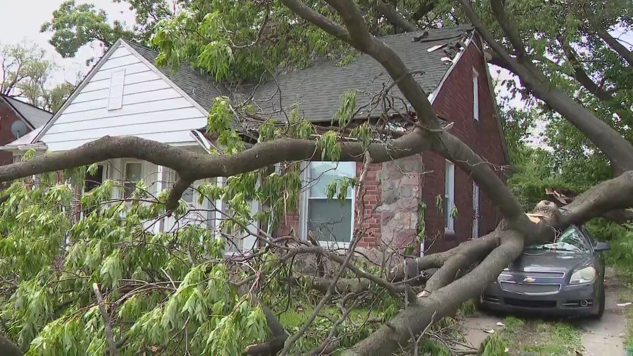 Tree crushes car, house in Detroit thunderstorm