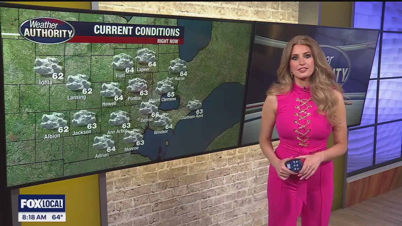 Damp and grey end to the weekend!