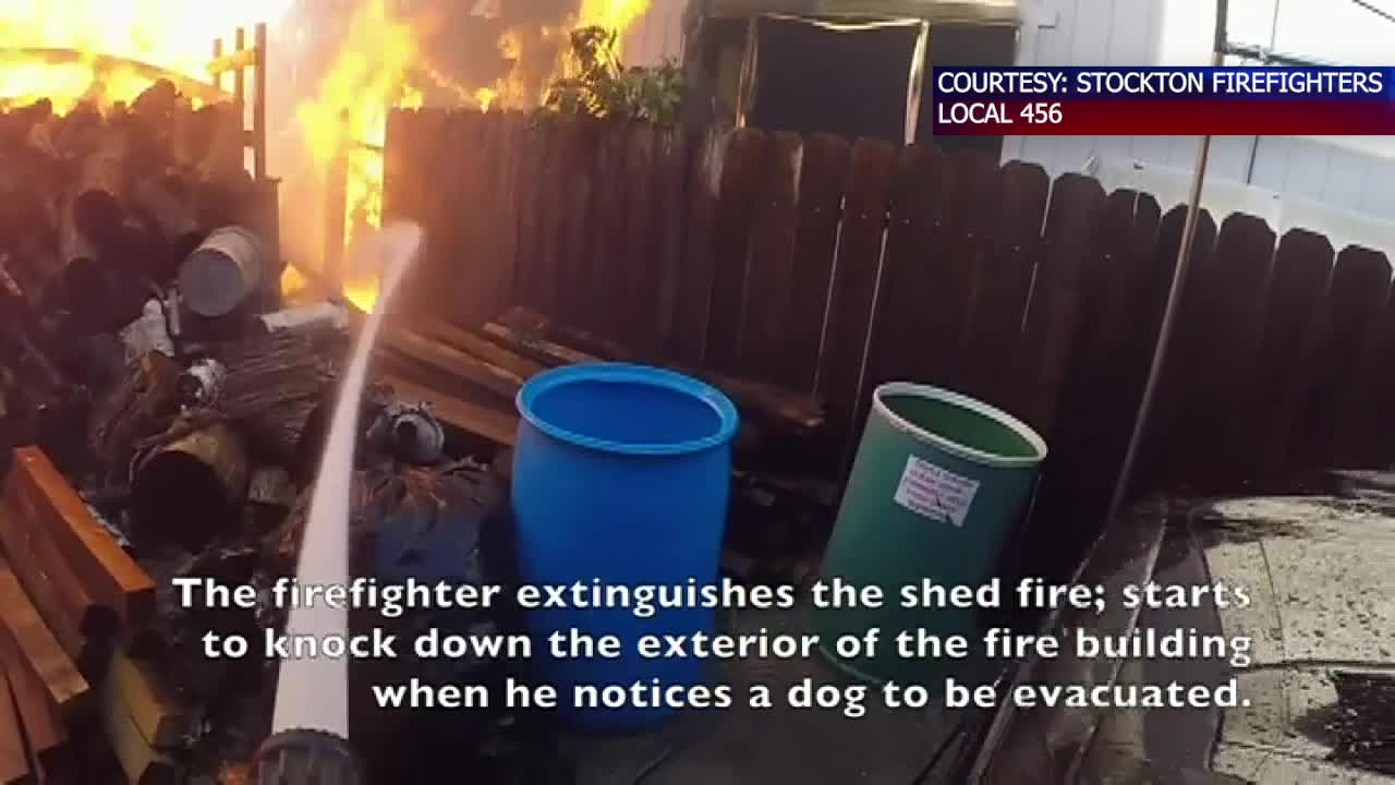 Body cam footage shows firefighters rescue dog | FOX 35 Orlando