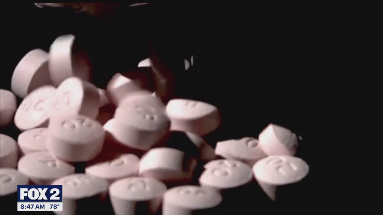 Families Against Narcotics rebrands as it expands its fight against addiction