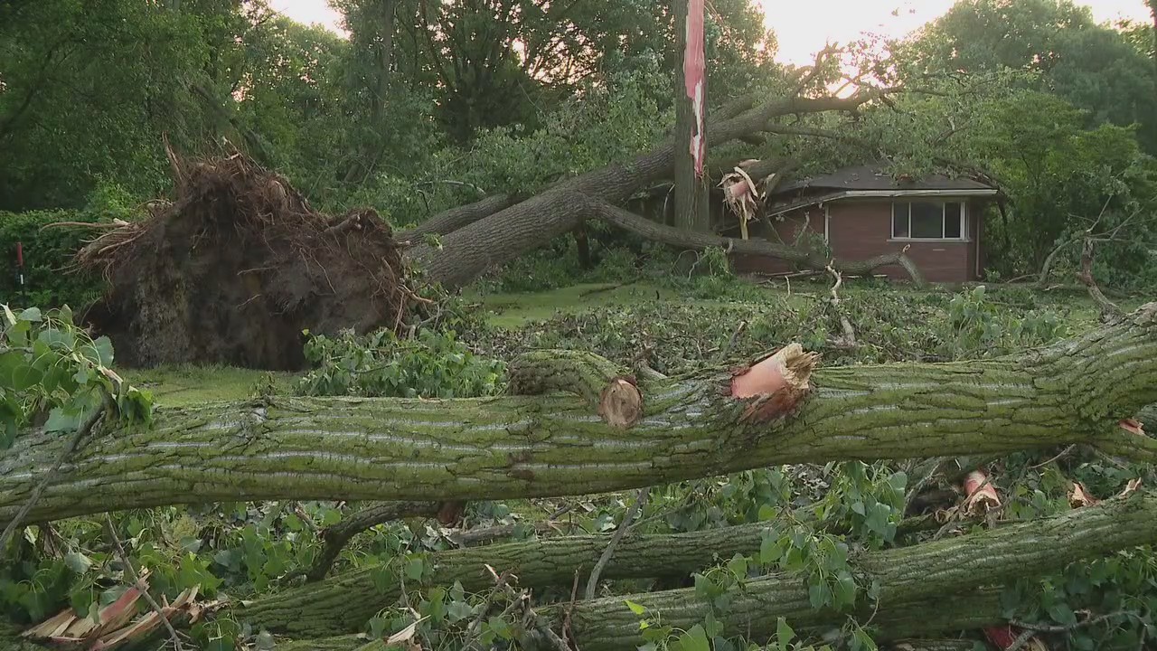 Southfield homeowner unscathed after tree collapse | FOX 2 Detroit