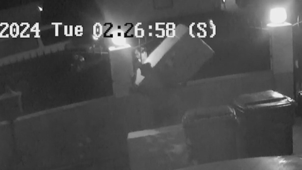 Thieves hop fence to steal kids' birthday presents