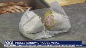 Pickle Sandwich Goes Viral