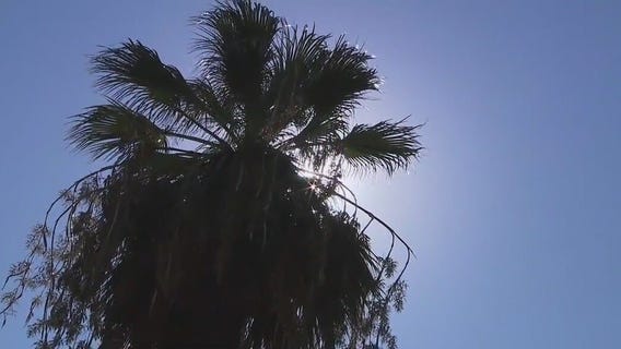 Students hospitalized after track meet in heat