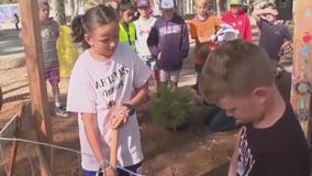 OC school plants 'moon tree'