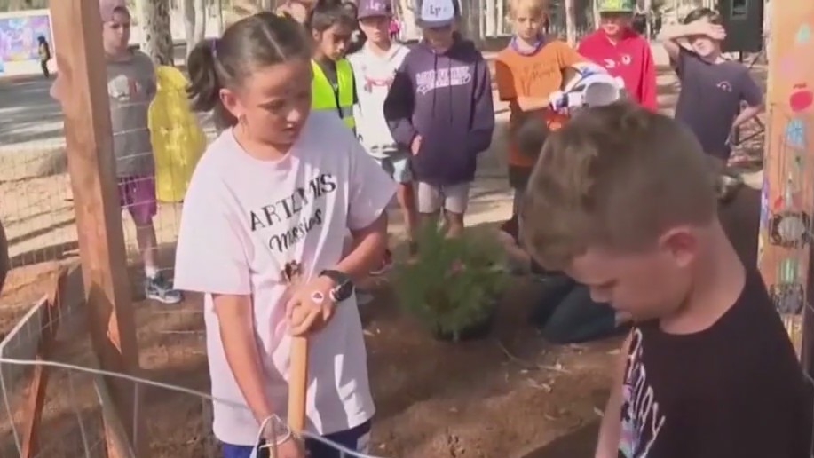 OC school plants 'moon tree'