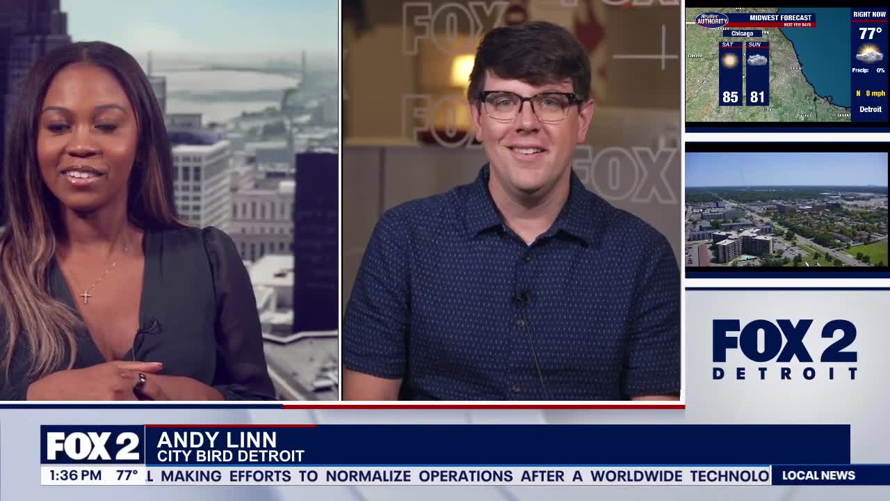 Canfield Street Festival hits downtown Detroit