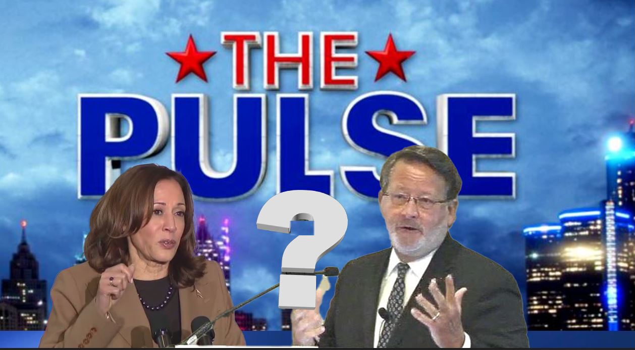 The Pulse: The veepstakes & spotting bogus information