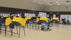 The data behind voting