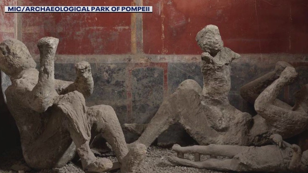 DNA analysis upends assumptions about Pompeii victims