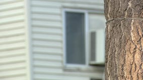 Who killed Mauricio Baez Jr.?