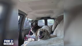 The Karen's - K9 Animal Rescue