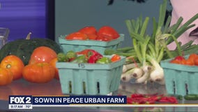 Sown in Peace Urban Farm