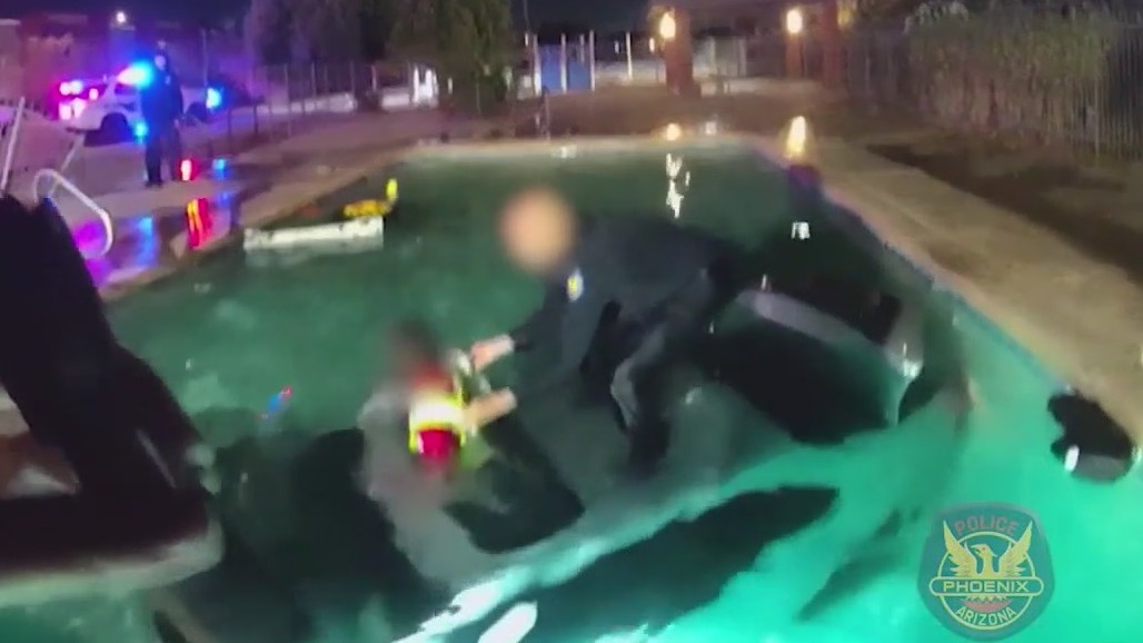 Police rescue man who drove into swimming pool