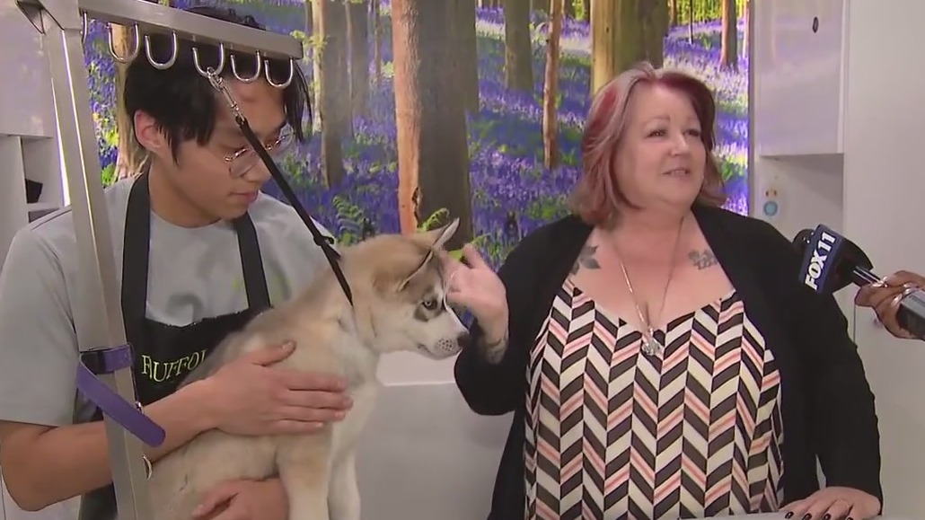 Fluffology 'Lend a Paw' drive